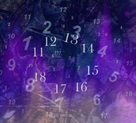 astrology, your numbers, lifepath number